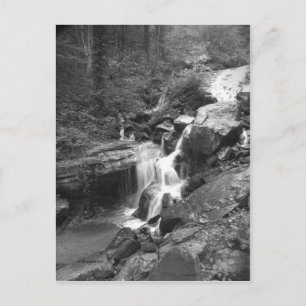 Carte Postale Montée des automnes