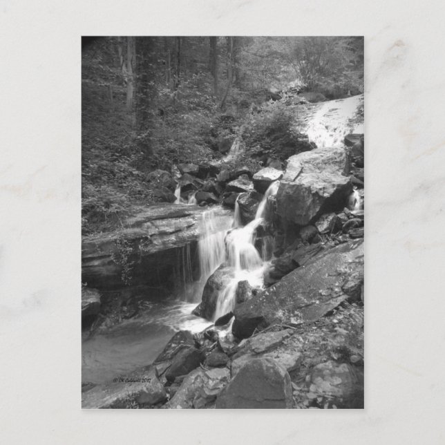 Carte Postale Montée des automnes (Devant)