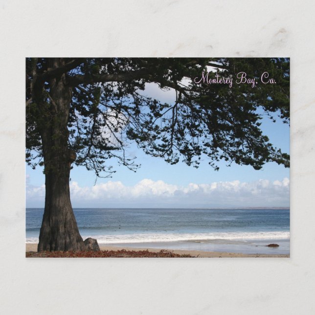 Carte Postale Monterey Bay, Ca (Devant)