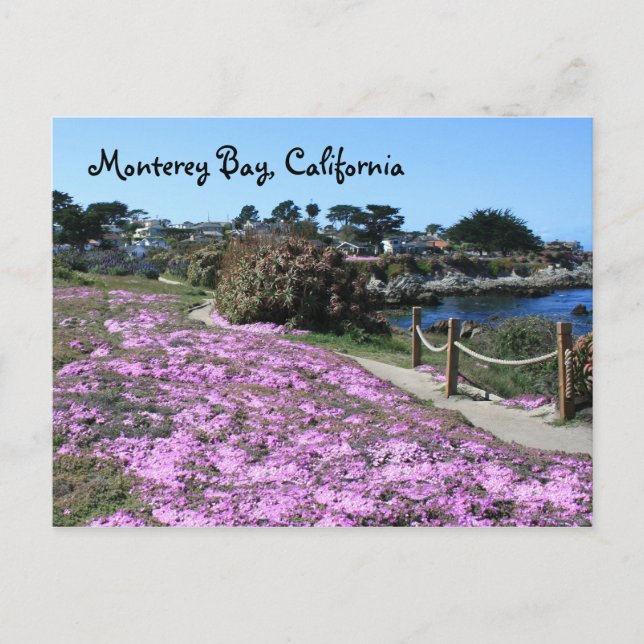 Carte postale Monterey Bay, Californie (Devant)