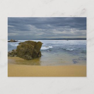 Carte Postale Monterey Beach