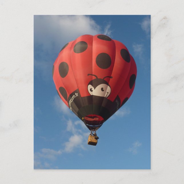 Carte Postale Montgolfière - Ballon à air chaud - Coccinelle (Devant)
