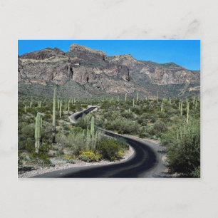 Carte Postale Monts Ajo, Organ Pipe Cactus Monument National
