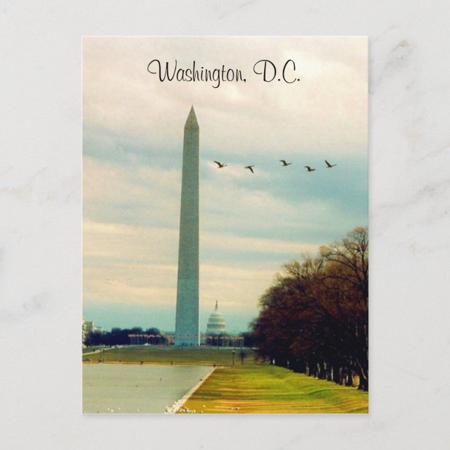 Carte Postale monument de washington (Devant)