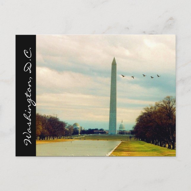 Carte Postale monument de washington (Devant)