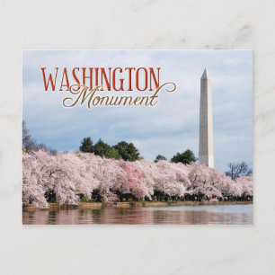 Carte Postale Monument de Washington aux fleurs de cerisiers