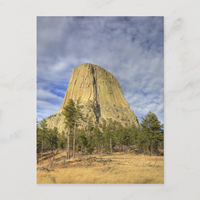 Carte Postale Monument national de Devils Tower (Devant)