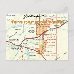 Carte Postale Monument national de la Forêt Petrifiée 