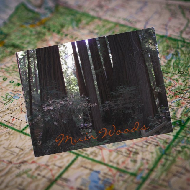 Carte Postale Monument national de Muir Woods Photo de voyage (In Situ Map)