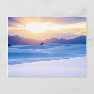 Carte Postale Monument national de White Sands 3