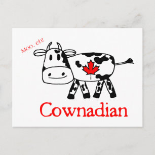Carte postale Moo, Eh