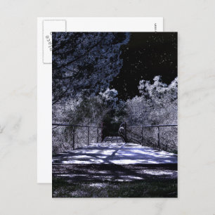 Carte Postale Moon Shadows