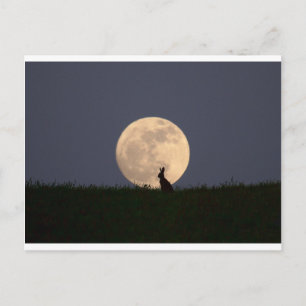 Carte Postale Moongazer