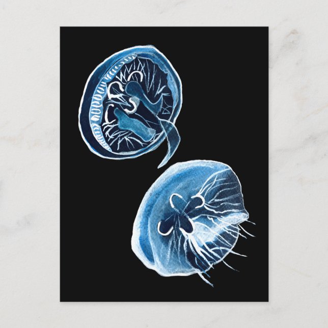 Carte Postale MoonJellyfish aquarelle art (Devant)