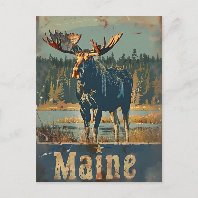 Carte Postale Moose vintage du Maine (Devant)