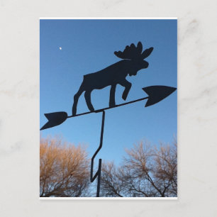 Carte Postale Moose weathervane