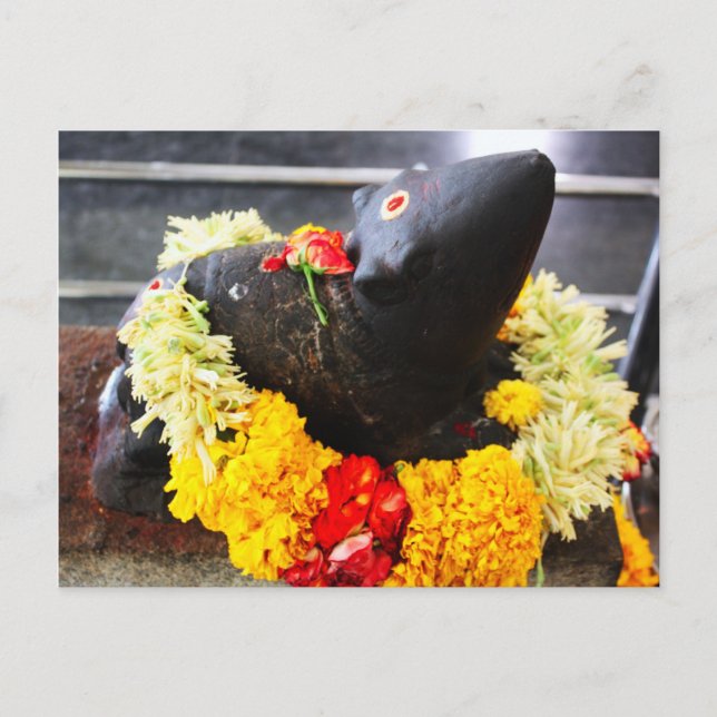 Carte Postale Mooshika (Devant)