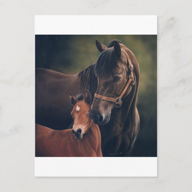 Carte Postale Morgan Mare et Foal (Devant)