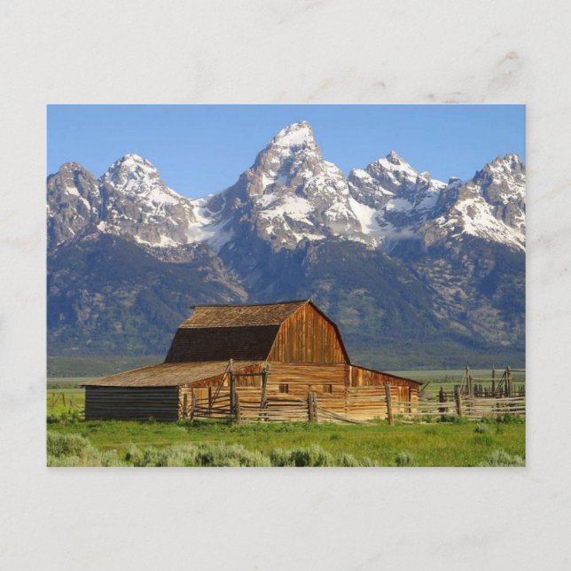 Carte Postale Mormon Barn (Devant)