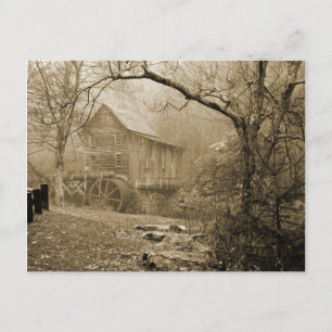 Carte Postale Morning Mist