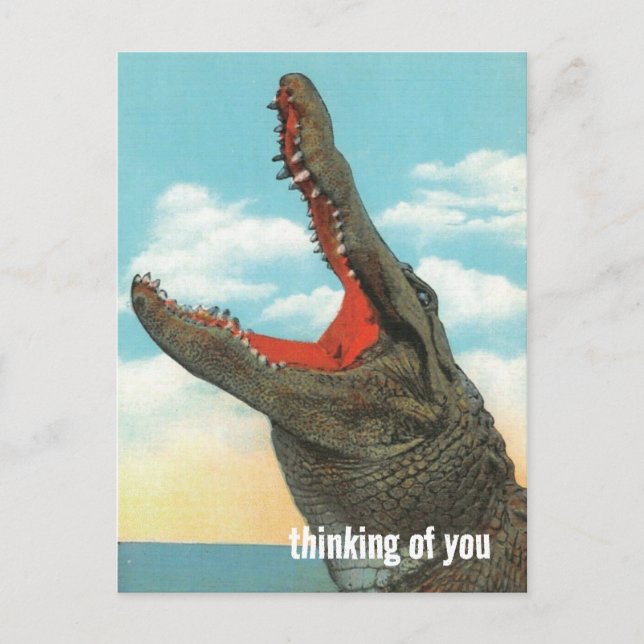 Carte Postale Morsure d'alligator (Devant)
