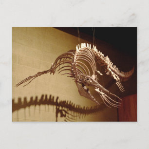 Carte Postale Mosasaur - "Lézard marin"