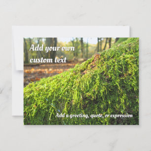 Carte Postale Moss d'automne en soleil doré - Personnalisé