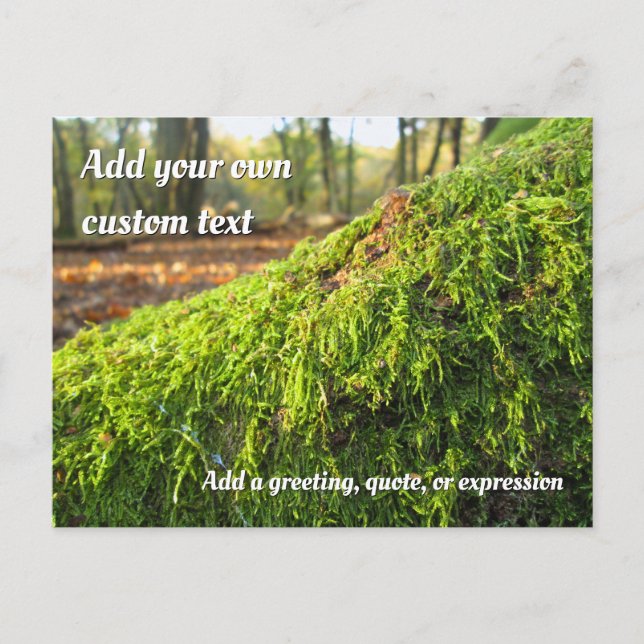Carte Postale Moss d'automne en soleil doré - Personnalisé (Devant)