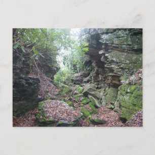 Carte Postale Moss sur Rocks Boulders dans le comté de Mercer WV