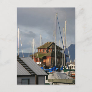Carte Postale Mossy Habour