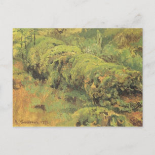 Carte Postale Mossy Wood par Ivan Shishkin