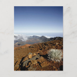 Carte Postale Mot d'argent sur la ceinture de cratère Haleakala 