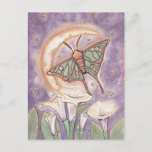 Carte Postale Moth & Moonflowers (Devant)
