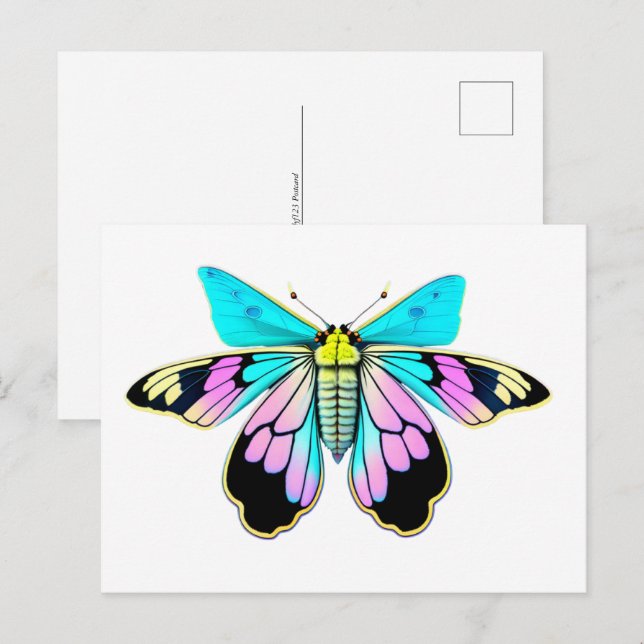 Carte Postale Moth Pastel, aquarelle, Croisement (Devant / Derrière)