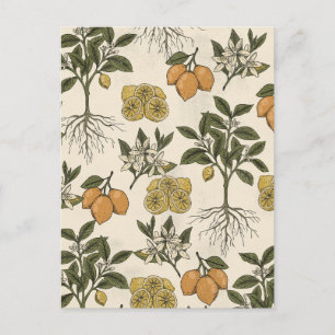 Carte Postale Motif Citron Vintage