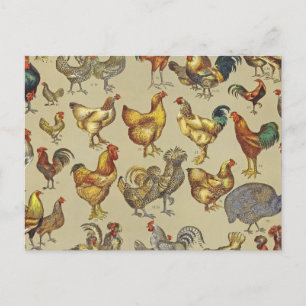 Carte Postale Motif de coq poulet vintage : Art de ferme