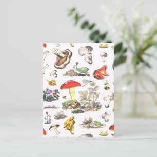 Carte Postale Motif de la Forêt d'escargots de grenouille