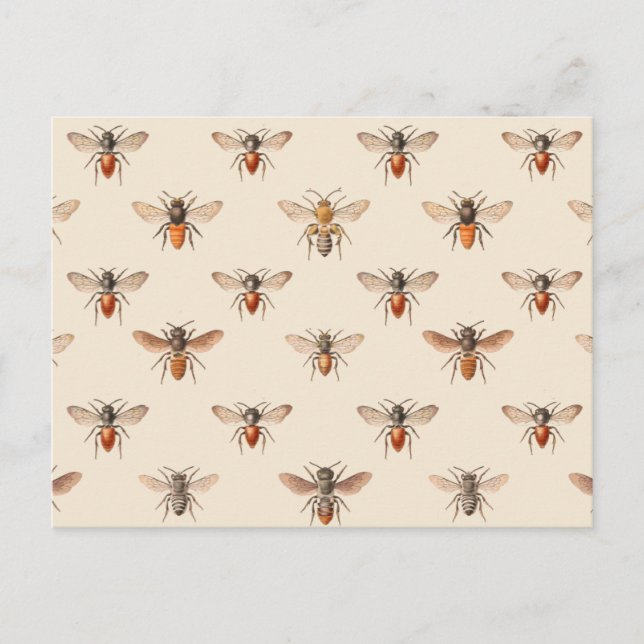 Carte Postale Motif d'illustration d'abeille vintage (Devant)