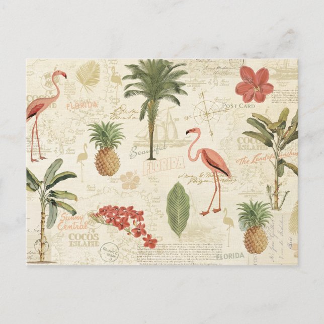 Carte Postale Motif floridien tropical (Devant)