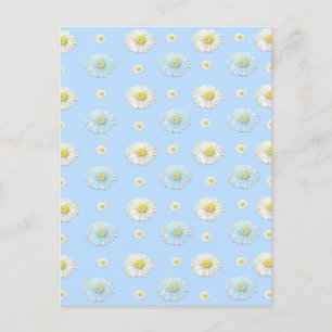Carte Postale Motif marguerrier sur arrière - plan bleu clair