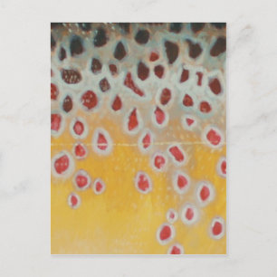 Carte Postale Motif marron