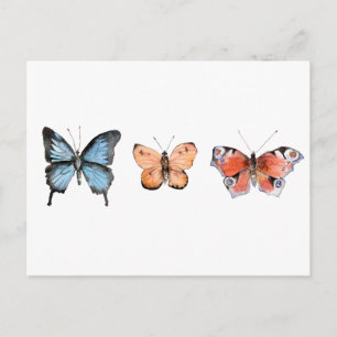 Carte Postale Motif papillon