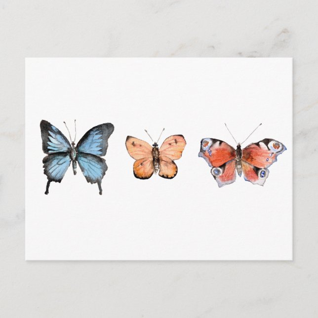Carte Postale Motif papillon (Devant)