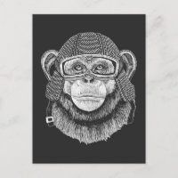 Motocycliste Chimpanzé