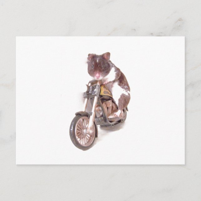 Carte postale Motorcycle Hamster (Devant)
