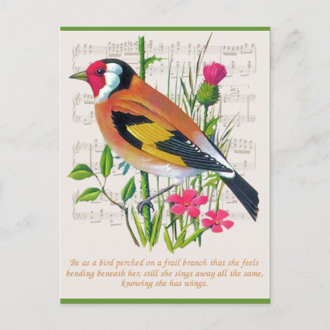 Carte Postale Mots d'encouragement (Devant)