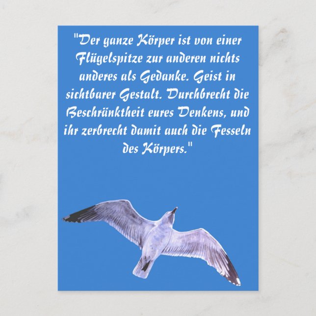 Carte Postale Mouette (Devant)