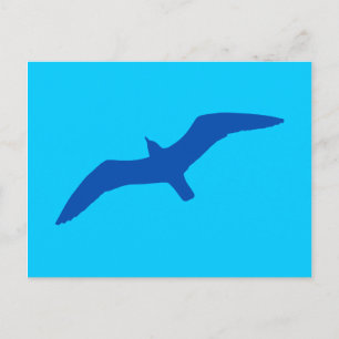 Carte Postale Mouette bleue Aqua