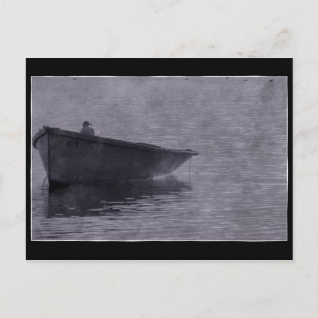 Carte Postale Mouette Dans La Poitrine. (Devant)