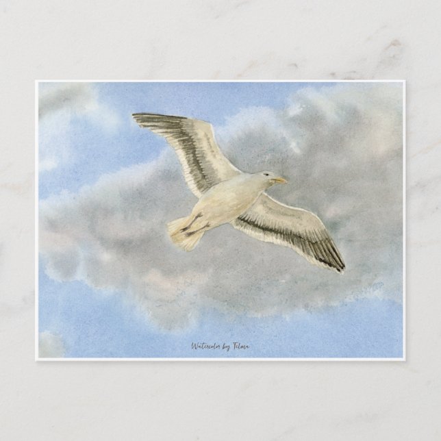 Carte Postale Mouette dans les nuages aquarelle (Devant)